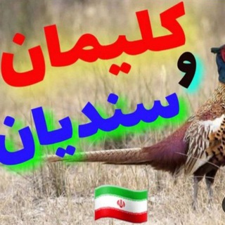 Telegram profile photo for کلیمان وسندیان