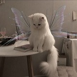 Telegram profile photo for ─ ε᥎ᥱrℳ᥆rᥱ ♫︎