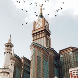 Telegram profile photo for ﴿ ذَوَاتَا أَفْنَانٍ ﴾.