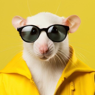 Telegram profile photo for Мемальный фунфурье