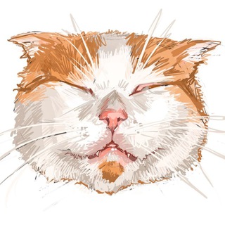 Telegram profile photo for нахойдд