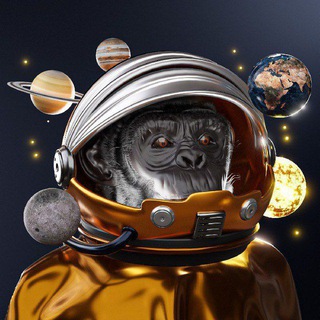 Telegram profile photo for Timbo calls