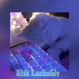 Telegram profile photo for Это я котик