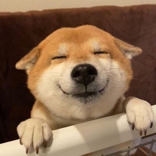 Telegram profile photo for 霸凌扒衣|精神小妹|小生版