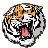 Telegram profile photo for Orange Tiger Bcone π΅π