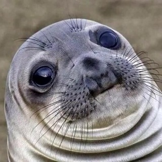 Telegram profile photo for Жуки ползуны