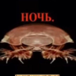 Telegram profile photo for йомайо, кэтчер 🥁💥🧌