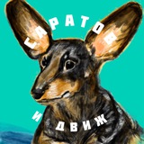 Telegram profile photo for Саратов и движ