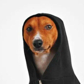 Telegram profile photo for Колдер переходник