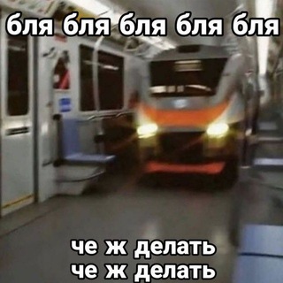 Telegram profile photo for Аукциончики/фиксы адоптов Скара