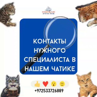 Telegram profile photo for Сообщество в Израиле от Анастасии Светлой°PR COMMUNITY