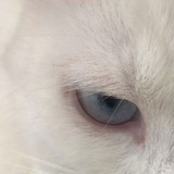 Telegram profile photo for crystal's