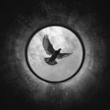 Telegram profile photo for قلم | فریده نظری