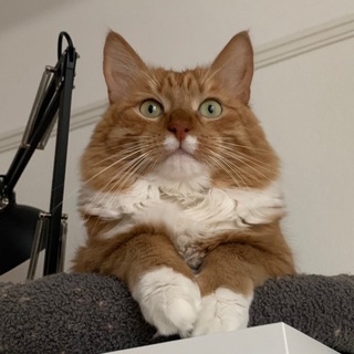 Telegram profile photo for Еженедельные кораблики