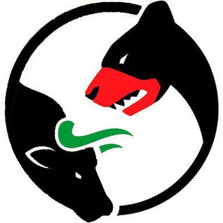 Telegram profile photo for BULL & BEAR - Analiz ve Paylasim