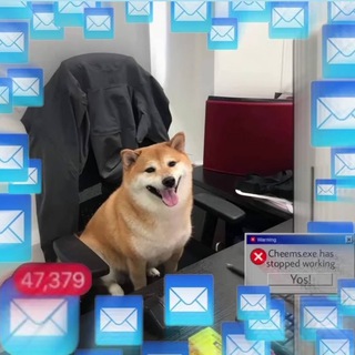 Telegram profile photo for Мам, я DPO