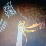 Telegram profile photo for حاج ارمان شاه کبیر