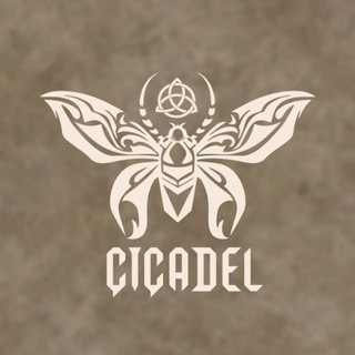 Telegram profile photo for CICADEL