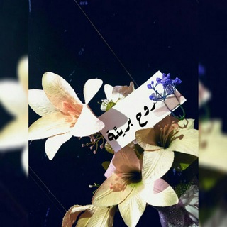 Telegram profile photo for ڔوح ﺑــريئـﮩﮪ