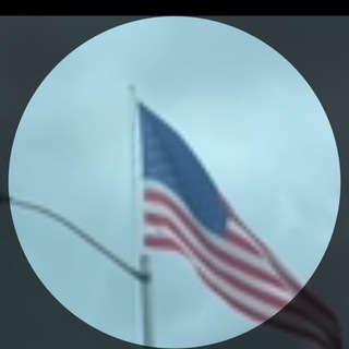 Telegram profile photo for The Patriot Stream