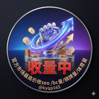 Telegram group profile photo for SEO站长|劫持渗透&渠道交流群