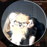 Telegram profile photo for Чебоксары взорвали