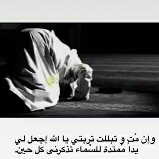 Telegram profile photo for لِـ فقيدتي؛