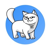 Telegram profile photo for Донат херсонському дизайнеру