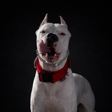 Telegram profile photo for MARTIN