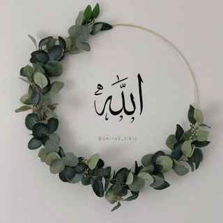 Telegram profile photo for زَيـنَـب طليس |