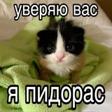 Telegram profile photo for ананас подшарил