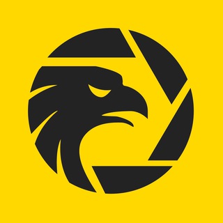 Telegram profile photo for Forex Trader WikiFX 2