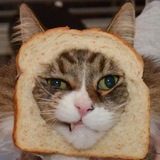 Telegram profile photo for Хлебопечка 😼