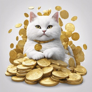 Telegram profile photo for We want money