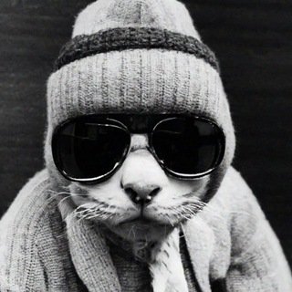 Telegram profile photo for ЁБАНЫЙ СТЫД