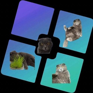 Telegram profile photo for Roblox - MeowStrap