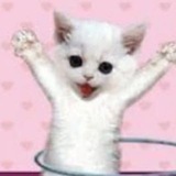 Telegram profile photo for sweet archive, 𝄢