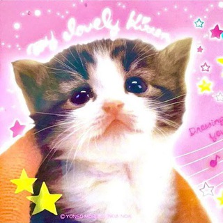 Telegram profile photo for Ⲥυⲅⲏⲁⲣ Ⲫⲟⲕⲥⲁ🎨