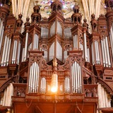 Telegram profile photo for Sound Of Music
