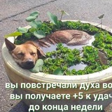 Telegram profile photo for Отзывы Теннме🌸