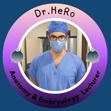Telegram profile photo for Anatomy & Embryo (65) Dr.Hero0o 💞