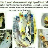 Telegram profile photo for عروس هلندی ایران