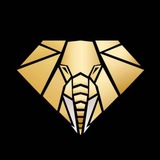 Telegram profile photo for CasinoBanko