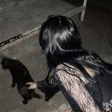 Telegram profile photo for Dead diaries