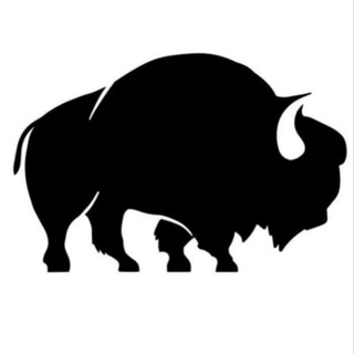 Telegram profile photo for Buffalo Trader