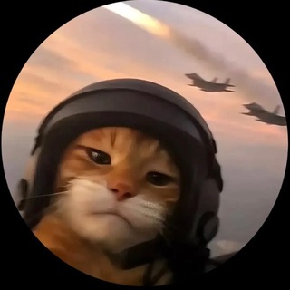 Telegram profile photo for zlo