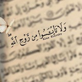 Telegram profile photo for ﴿وَلاَ تَيْأَسُواْ مِن رَّوْحِ اللَّهِ﴾