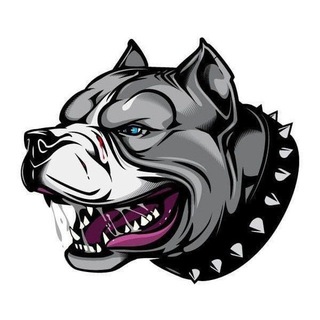 Telegram profile photo for PITBULL STORE ОТЗЫВЫ📲