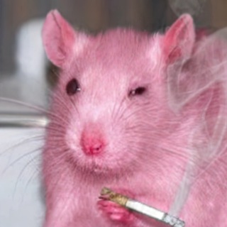 Telegram profile photo for 💅 кекся 💅