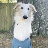 Telegram profile photo for Продам гараж (8928...)
